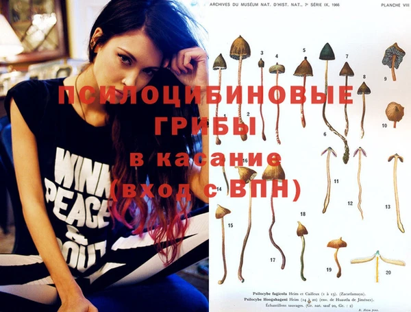 а пвп мука Алзамай