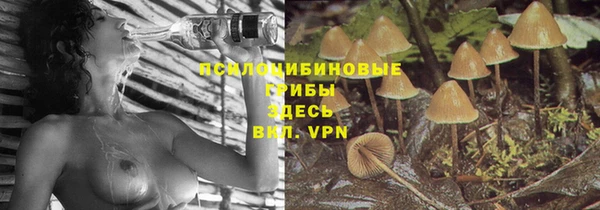 кокаин премиум Алексеевка